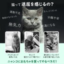 ＼P5倍 3/30迄／猫 おもちゃ 電動 猫おもちゃ ベット 動くおもちゃ 電動おもちゃ Pawaboo 電動ぐるぐるマウス 電動式 ネズミを捕らえる ネコ遊び 運動 ベット用 マウス型 狩猟本能を満たす 玩具 ネコちゃんの運動不足 ストレス解消 高品質 2