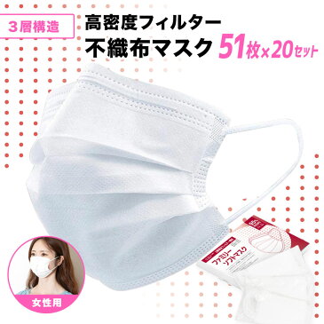 マスク 小さいサイズ 51枚 ×20セット 1020枚 白 ホワイト 箱 不織布マスク プリーツ 小さめ 女性用 子供用 使い捨て フィルター ノーズワイヤー 女性用マスク 子供用マスク レディース マスク
