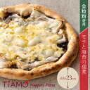 【 冷凍ピザ 】 モチと海苔の佃煮 ピッツァ TiAMO ティアーモ ｜ 夏休み お昼 冷凍 ピザ ギフト プレゼント 冷凍ピッツァ 宅配ピザ お試し 全粒粉 本格 ナポリ 餅 海苔 佃煮