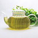 中国茶器・南瓜玻璃壺 600cc(満水700ml)耐熱ガラスティーポット