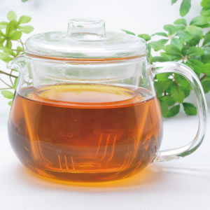 立式壺470ml（満水580ml）・耐熱ガラス製ティーポット