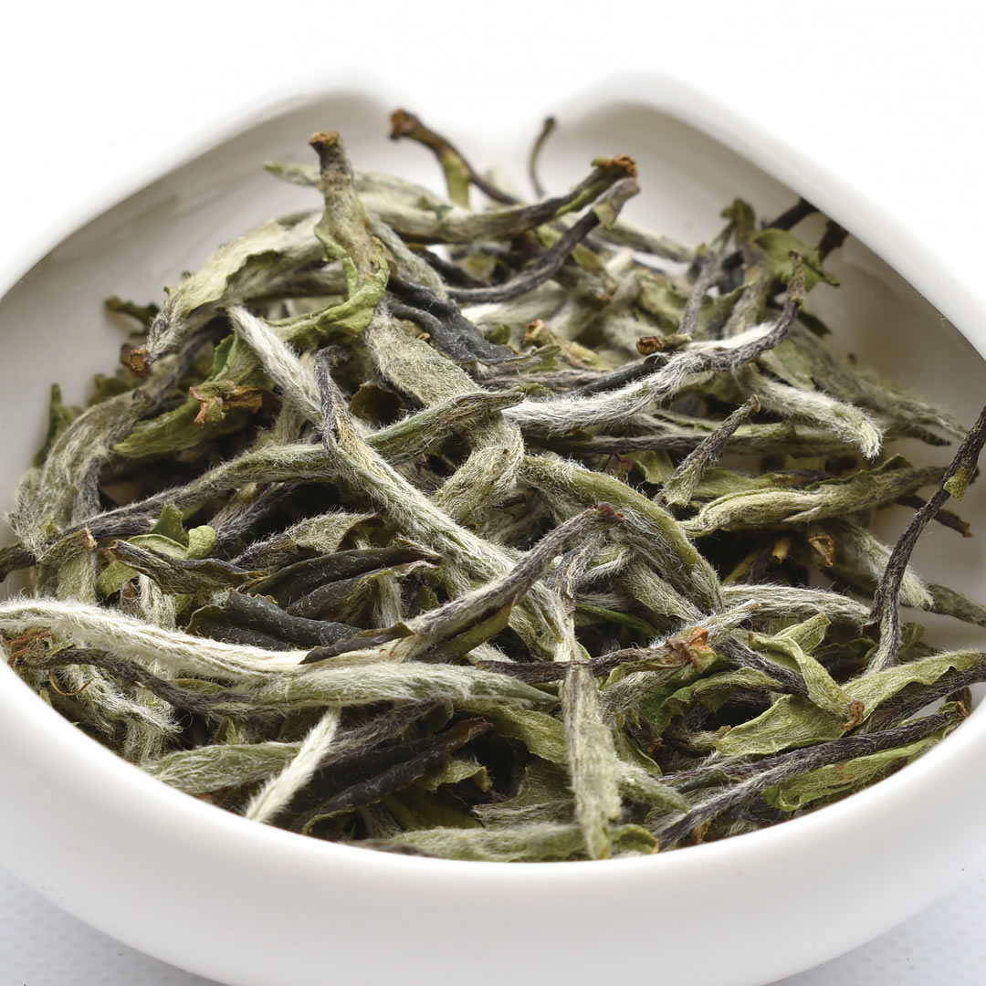 白牡丹（中国茶・白茶）25g