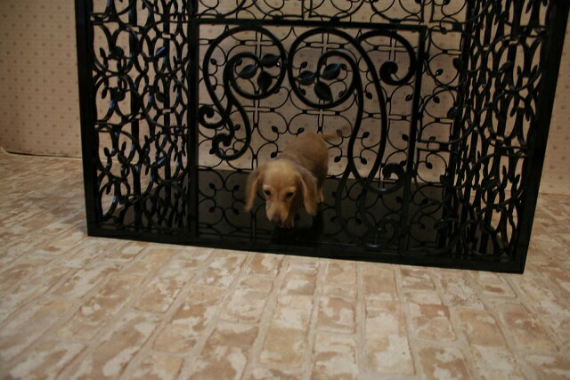ペットハウス・室内犬小屋Oberon Houseの紹介画像3