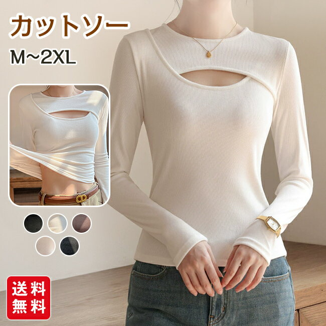 楽天市場】裏起毛（テイスト（ファッション）セクシー）（Tシャツ