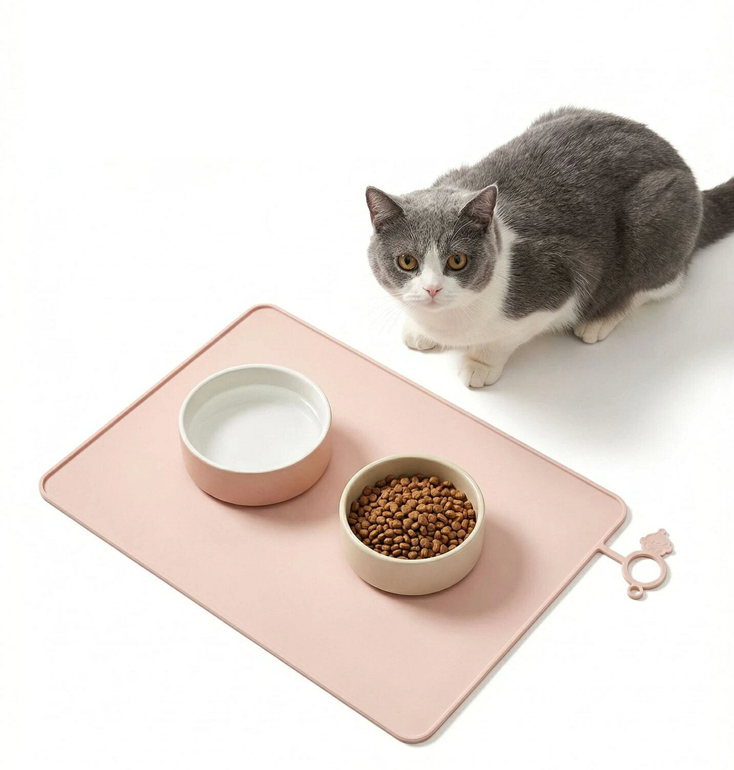 シリコン素材のペット用食事マットです。縁が高くなっておりフードや水のこぼれをガード、床の汚れや傷を防ぎます。吊り穴付きなので丸めて吊るして収納乾燥が可能、お部屋をスッキリ保てます。小型犬、猫に最適です。【製品特長】シリコン素材：柔らかく耐久性に優れ、食器が滑りにくい。汚れが落ちやすく水洗い可能。吊り穴デザイン：丸めて吊るして収納、使用後は吊るして乾燥でき衛生的。省スペース。こぼれ防止縁：周囲の立ち上がりが、フードの食べこぼしや飲み水の飛散を抑え床を守ります。コンパクト収納：くるくる丸められるので、お出かけお散歩時の携帯にも便利。【仕様】サイズ：29.5×40cm重量：200g素材：シリコンカラー：ピンク / ブルー対象：小型犬猫【ご注意】鋭利な物で傷つけないようご注意ください。火気に近づけないでください。