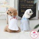 エドウイン Tシャツ メンズ エドウィン EDWIN ビッグロゴTシャツ【小型犬 犬服 クール加工 ウエア トップス Tシャツ カットソー セレブ】