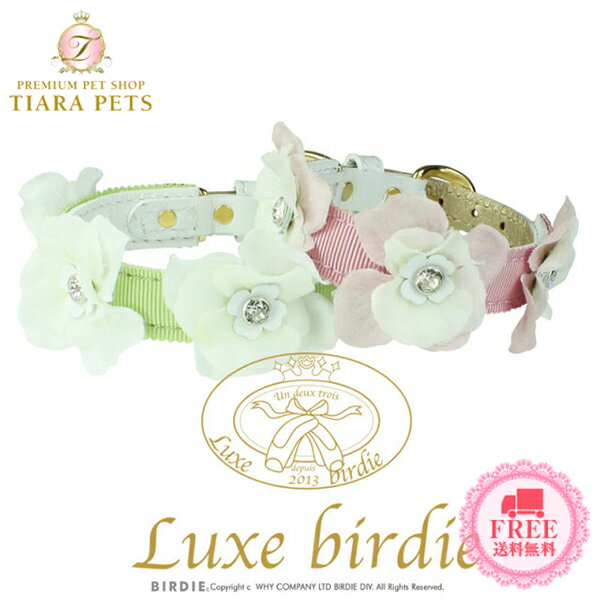 リュクスバーディLuxebirdi...