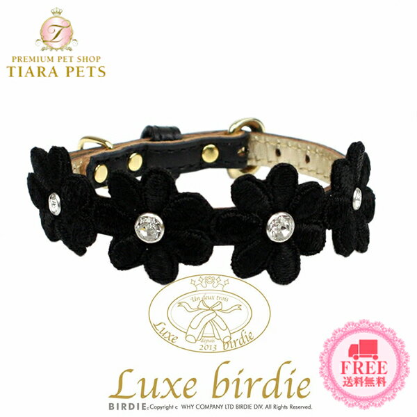 奯Сǥ Luxe birdie ץꥷ饫顼 ֥å(size21)ھ ڥå 顼  饰奢꡼ ֡ ̵