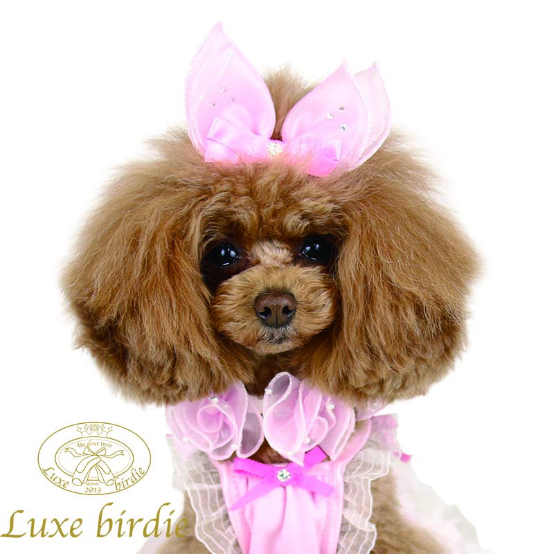 リュクスバーディ Luxe birdie ラパンバレッタ【小型犬 アクセサリー バレッタ ヘアピン ヘアーアクセサリー セレブ】 送料無料