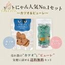 ドットにゃん dot nyan 人気NO.1セット~カツオ&ピューレ~【猫 ペット おやつ 鶏肉 国産 カツオ キャットフード】
