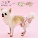 クレイジーブー CRAZYBOO マカロン柄 サニタリーパンツ【小型犬 サニタリーパンツ マナーショーツ マナーパンツ】