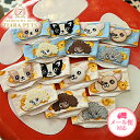 J&Kアニマルズ J&K animals ☆ライオン キャラクター パンツ☆(3S)【小型犬 ペット マナーバンド マーキングガード】