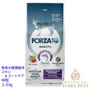 フォルツァディエチ FORZA10 Daily Pro アダルト ミディアム ヘルシースキン フィッシュ 中粒 10kg【犬用 成犬 免疫 健康維持 スキン&コート ケア ドッグフード ドライフード 中粒 10kg】