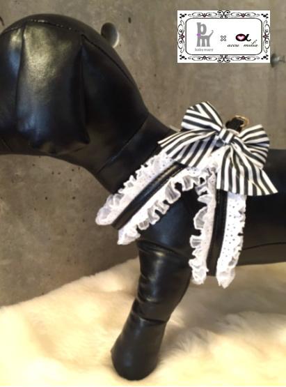 アキュミリア accu milia babymary×accu milia コットンイライザ ハーネス(LL)【小型犬 犬用 ハーネス 胴輪 セレブ】