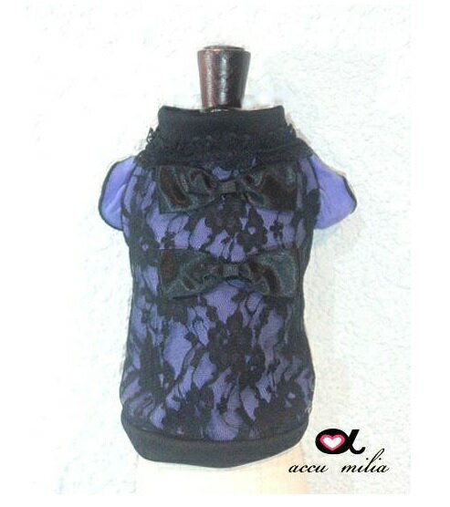 ߥꥢ accu milia 졼٥åȥ(MS/M/L)ڸ   ȥåץ åȥ ֡ ...