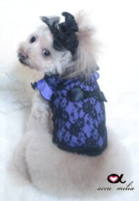 アキュミリア Accu アキュミリア Milia カットソー レーシーラベンダーカットソー Xs Ss S 犬服 小型犬 Accu ウエア トップス カットソー セレブ Tiara Petsラベンダー色のカットソーに品よくレースを重ねたお洋服です アキュミリア Accu アキュミリア Milia カットソー レーシーラベンダーカットソー Xs Ss S 犬服 小型犬 Accu ウエア トップス カットソー セレブ Tiara Petsラベンダー色のカットソーに品よくレースを重ねたお洋服です