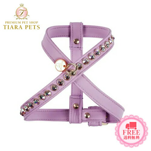 㡼åȥɥ쥹 Charlotte's Dress Harness Sparkling Rivet (Art. g1513N15)ھ  ϡͥ ƹ ֡ ̵