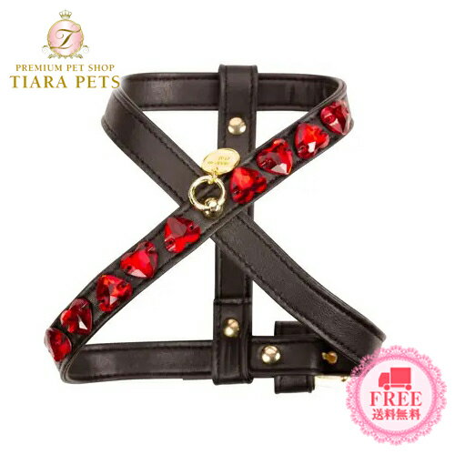 㡼åȥɥ쥹 Charlotte's Dress Harness Mon Amour In Black (Art. g1572N)ھ  ϡͥ ƹ ֡ ̵