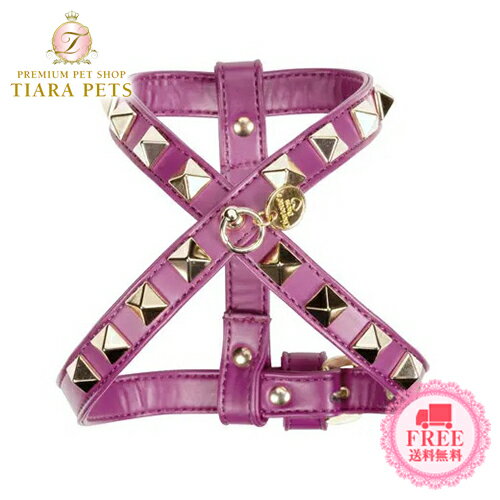 㡼åȥɥ쥹 Charlotte's Dress Harness Square Rivet (Art. g1519N15)ھ  ϡͥ ƹ ֡ ̵