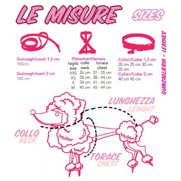シャーロットドレス Charlotte's Dress Collar Brigida (Art f1506N)【小型犬 犬用 カラー 首輪 セレブ】 送料無料