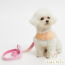 【18日限定ポイント3倍!!】ルイスドッグ louisdog Walk With Me/Candy Pink【小型犬 犬用 ハーネス リード セット セレブ】