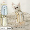 アントゥトゥ Un TouTou マルチストライプシャツ【小型犬 犬用 犬服 トップス シャツ ブラウス セレブ】