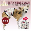 クークチュール Coo Couture テラヘルツワン・アンティークベルクロテラバンドBOY[7298]【小型犬 介護 腹巻 マジックテープ付き腹巻き】 送料無料