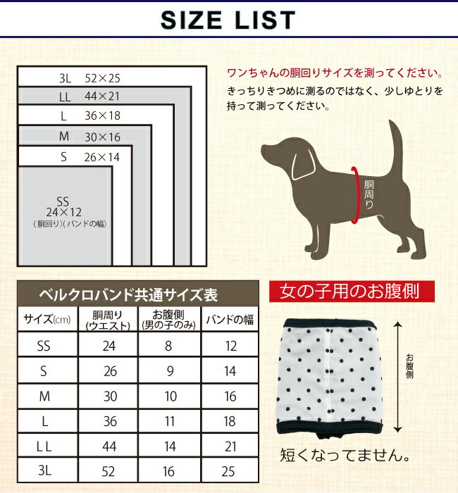 お腹の弱いワンちゃん ヘルニアのワンにちゃんに特におすすめいたします クークチュール Coo Couture 送料無料 ディディベア22ベルクロテラバンドgirl 8周年記念イベントが テラクール