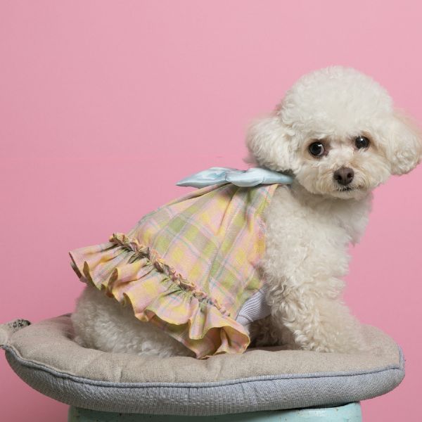 2021 Be Prepared Summer Outing ルイスドッグ louisdog Sugar Dress【小型犬 犬服 ウエア ワンピース  ドレス セレブ】