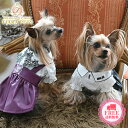 【4月20日ポイント5倍!!】アナ スイ ANNA SUI フェイクレザープリーツワンピース【小型犬 犬服 ウエア ワンピース ドレス セレブ】 送料無料