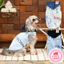 ディーズチャット D's CHAT GOサマープリントパーカ(XL/XXL)【小型犬 犬服 ウエア トップス パーカ カジュアル】 送料無料