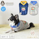 ディーズチャット D's CHAT 背開きメッシュシャツ【犬服 小型犬 ドッグウェア トップス シャツ】