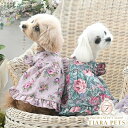 ローラアシュレイ LAURA ASHLEY ショルダーフリルAラインワンピース【小型犬 犬服 ウェア ワンピース セレブ】