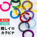 記念品 名入れ キーホルダー カラビナ 丸 推し活グッズ チーム名 1個から プレゼント 卒業記念品 おしゃれ 推し活 推し ガチャ カラビナノベルティ 部活 ...