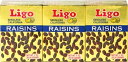 185~`iō9,800~ȏ̂͑ɂȂ܂IȂ̔JtHjA[YłIy Ligo RAISINS z S[ [Y 170g ( 28.35g~6 ) hCt[c