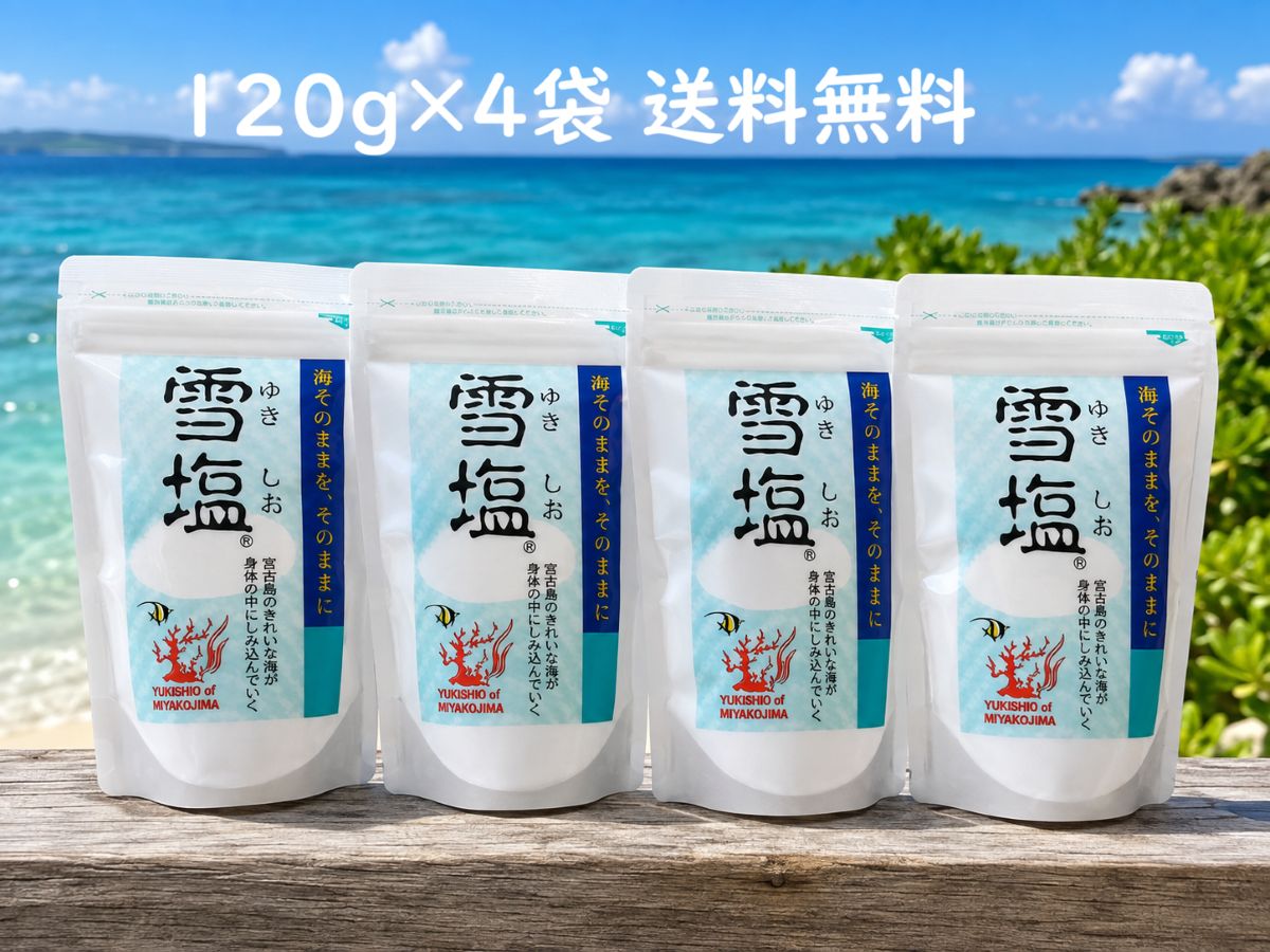 4袋セット 送料無料【 宮古島の雪塩 】雪塩 パウダータイプ 120g 沖縄土産 沖縄の塩 沖縄お土産 ミネラル カリウム マグネシウム 無添加 顆粒 付け塩 食塩
