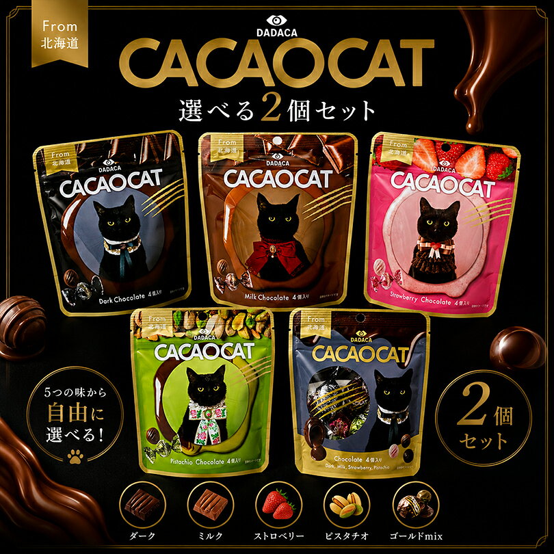 CACAOCAT 選べる 2個セット 各4個入 カカオキャット チョコレート チョコ ダーク ミルク ストロベリー ピスタチオ ゴールドmix ギフト プチギフト スイーツ お菓子 詰め合わせ 送料無料