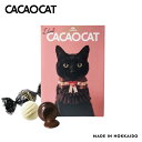 I LOVE CACAOCAT y9zDADACA kC yY `R L  `R ~N zCg Xgx[ Mtg v[g  ̓ ̓  Ε NX}X o^C zCgf[ JJILbg