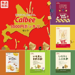 《5000円ポッキリ》《カルビー セット商品》《じゃがポックル大》《じゃがピリカ大》《ぽてコタン大》《いも子》《いも太》《計5箱》 北海道 お土産 スナック おやつ お菓子 送料無料