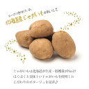 北海道産 じゃがいもポタージュ【4食入×5個】北海道ダイニングキッチン 北海道 お土産 スープ ポテト インスタント レトルト ギフト プレゼント お取り寄せ 送料無料 3