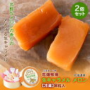 花畑牧場 生キャラメル【北海道産メロン】【8粒入×2箱】【冷蔵】北海道 お土産 キャラメル クリーム 生乳 水飴 ギフト プレゼント お取り寄せ 送料無料