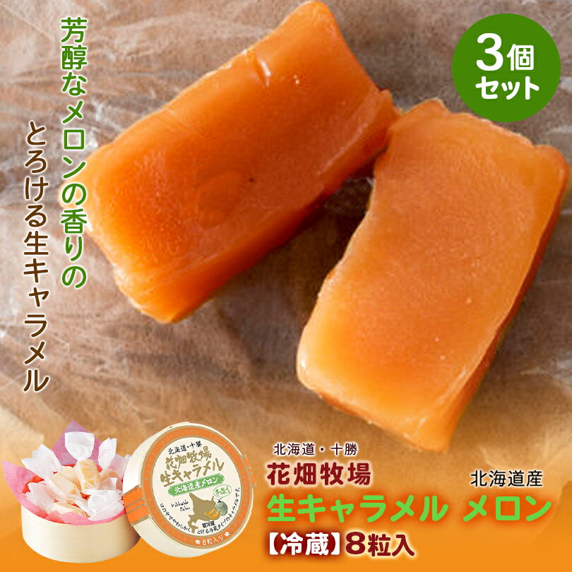 花畑牧場 キャラメル 花畑牧場 生キャラメル【北海道産メロン】【8粒入×3箱】【冷蔵】北海道 お土産 キャラメル クリーム 生乳 水飴 ギフト プレゼント お取り寄せ 送料無料