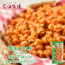 花畑牧場 プレミアムポップコーン【夕張メロン】【袋・90g】北海道 お土産 おやつ お菓子 ギフト プレゼント お取り寄せ