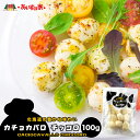  J`Jo `bRy100g~1zy①zkC yY `[Y ~N Ђ傤 XLbg Mtg v[g  