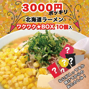 【3000円ポッキリ】【10個入】北海道ラーメン ワクワク★ボックス 有名店 北海道 味噌 醤油 塩 乾麺 生麺 福袋 お楽しみ 詰め合わせ ギフト プレゼント お取り寄せ 送料無料