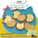 フロマージュ・キャット【9枚入】柳月 北海道 お土産 チーズ チョコ クッキー ビスケット 洋菓子 焼き菓子 スイーツ ギフト プレゼント お取り寄せ
