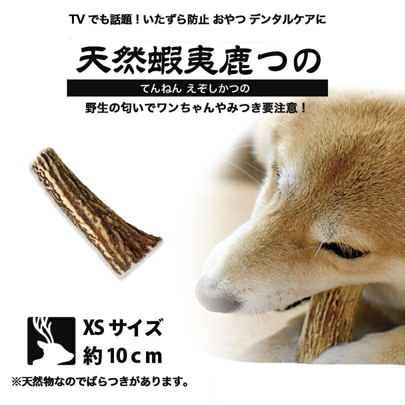 商品情報商品名鹿角 XSサイズ：約10センチ対象小型犬：トイプードル、チワワ、ミニチュアダックス、ポメラニアン…etc特徴当店の商品は未洗浄タイプの天然鹿の角を加工し、愛犬用のおもちゃです。いたずら防止に役立ち、さらにデンタルケアもできる優れもの。※ご利用には細心の注意を払ってご利用ください。材質天然蝦夷鹿角生産国日本：北海道ご利用の仕方愛犬の様子を見ながら与えてください。天然物を使用しておりますので、欠片等を食べても問題はありません！ですが、誤飲などの防止に飼い主の方は努めるよう当店からお願い致します。重要事項愛犬の体調や体質等、飼い主の方がご判断された際は使用を中止してください。天然物のためサイズ等にバラつきがございますが、製品上品質等には問題はありません。鹿角をご利用の際は喉に詰まらせないよう様子を見ながら与えるようお願い致します。本商品は硬い素材のため無理に砕こうとする場合は歯が折れたりする原因となります。強く噛みすぎている場合は使用を中止してください。※シニア犬や歯の弱い愛犬には与えないでください。※汚れを落とし衛生的に保管してください。※本商品は天然物ですので、キズ・汚れ等がついている恐れもございます。予めご了承ください。配送方法商品に準じ、ゆうパケット・定形外・宅急便のいずれかの配送方法となります。配送方法は指定できませんので予めご了承ください。【XSサイズ 約10cm】【小型犬】北海道産 鹿角 ペット 犬 おもちゃ プレゼント いたずら防止 おやつ デンタルケア ガム 犬用 鹿の角 天然 無添加 送料無料 安心 安全 天然 国産 北海道産 鹿角 原産地ハンターさんのプロの目利きと長年鹿角を加工している職人さんの目利きで安心安全の鹿角をご用意しました！当店はよりわんちゃんに興味をもっていただけるよう、天然そのまま未洗浄にてお客様にご提供させていただいております。 2