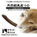 【Mサイズ 約15cm】【中型犬】北海道産 鹿角 ペット 犬 おもちゃ プレゼント いたずら防止 おやつ デンタルケア ガム 犬用 鹿の角 天然 無添加 送料無...