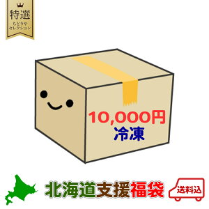 10000円ポッキリ 冷凍 北海道 復興 福袋 北海道 支援 応援 ふっこう 福袋 銘菓 食品 復興 魚 肉 ジンギスカン 豚丼 送料無料