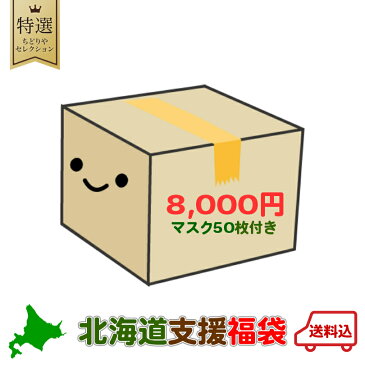 マスク 50枚付 【8000円ポッキリ】 北海道 復興 福袋 【マスク50枚付】 ふっこう 福袋 送料無料 ウイルス対策 予防 中国製 使い捨て 立体 三層構造 男女兼用